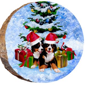 DX122 — Christmas Puppies