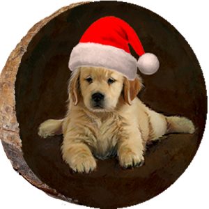 DX196 – Christmas Golden Puppy