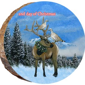 DX214 – 12 Days of Christmas