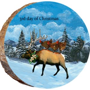 DX215 – 12 Days of Christmas