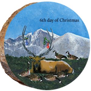 DX218 – 12 Days of Christmas