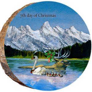 DX219 – 12 Days of Christmas