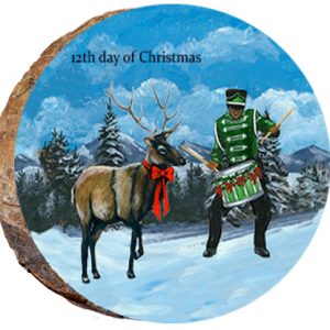 DX224 – 12 Days of Christmas