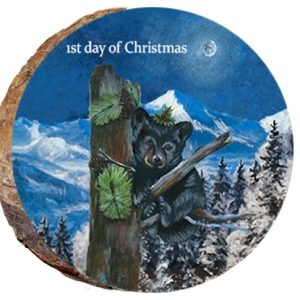 DX225 – 12 Days of Christmas