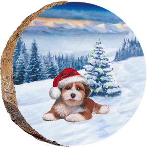 DX240 – Christmas Puppy