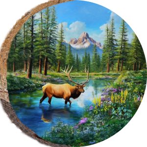 DAE489 – Elk in the Rockies 7