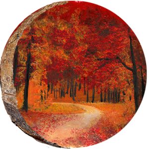 DCS036 – Fall in the Forest