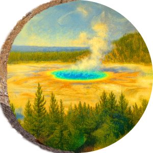 DCM429 – YELLOWSTONE