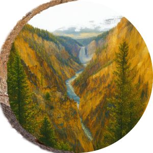 DCM440 – YELLOWSTONE