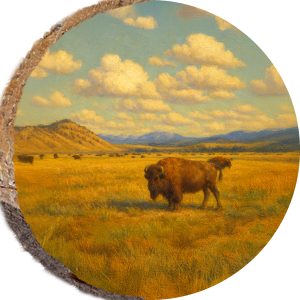 DCM443 – YELLOWSTONE