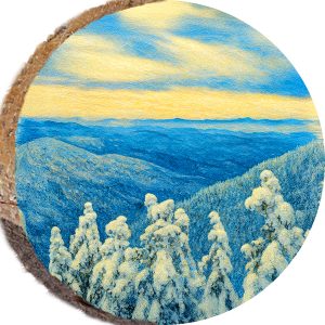 DPS288 – STOWE VERMONT