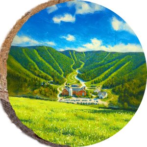 DPS305 – SUGARBUSH VERMONT
