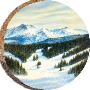 DPS311 – VAIL COLORADO