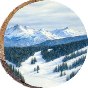 DPS314 – VAIL COLORADO