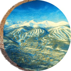 DPS329 – VAIL COLORADO