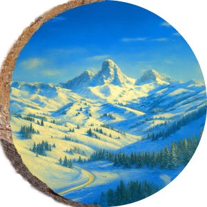 DPS331 – GRAND TARGHEE WYOMING
