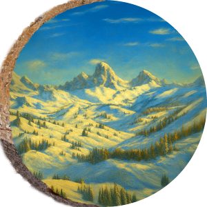 DPS335 – GRAND TARGHEE WYOMING
