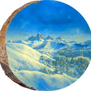 DPS336 – GRAND TARGHEE WYOMING