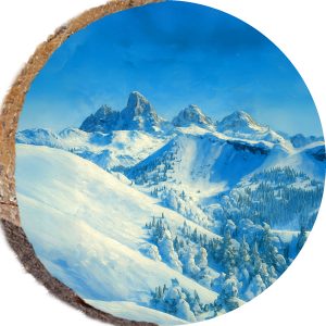 DPS341 – GRAND TARGHEE WYOMING