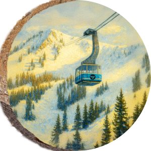DPS363 – SNOWBIRD UTAH