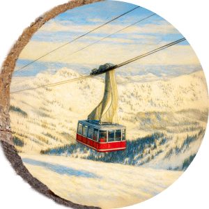 DPS365 – SNOWBIRD UTAH