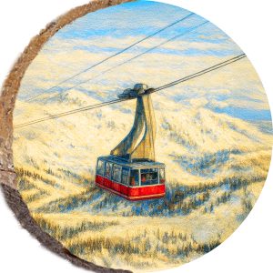 DPS377 – SNOWBIRD UTAH