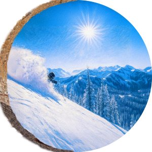 DPS381 – BRIGHTON UTAH