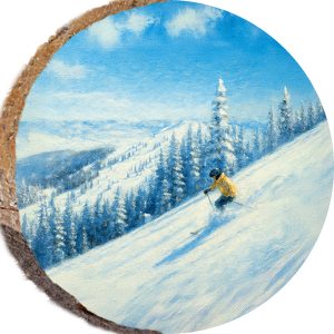 DPS410 – PARK CITY UTAH