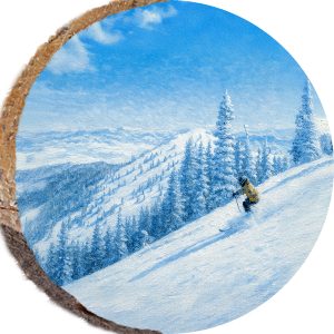 DPS411 – PARK CITY UTAH