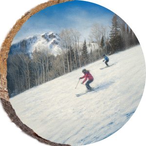 DPS422 – PARK CITY UTAH