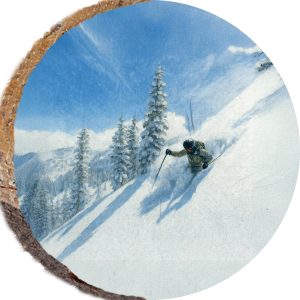 DPS424 – PARK CITY UTAH