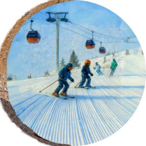 DPS425 – PARK CITY UTAH