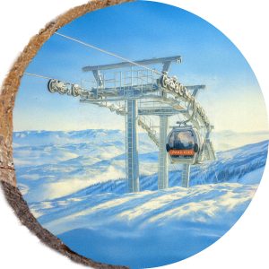 DPS437 – PARK CITY UTAH