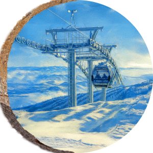 DPS439 – PARK CITY UTAH