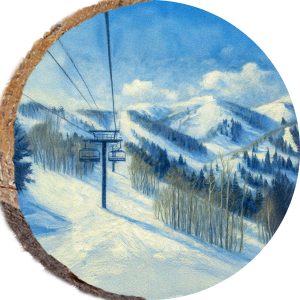 DPS440 – PARK CITY UTAH