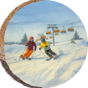 DPS441 – PARK CITY UTAH