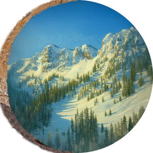 DPS462 – SOLITUDE UTAH