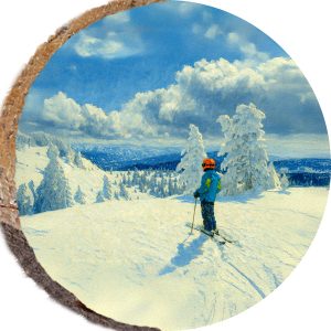 DPS469 – BOGUS BASIN IDAHO