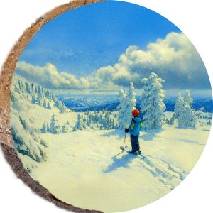 DPS470 – BOGUS BASIN IDAHO