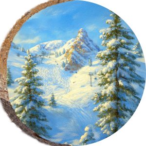 DPS479 – SNOWBASIN UTAH