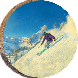 DPS487 – SNOWBASIN UTAH