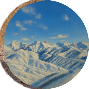 DPS520 – SUN VALLEY IDAHO