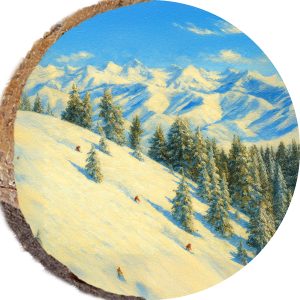 DPS522 – SUN VALLEY IDAHO