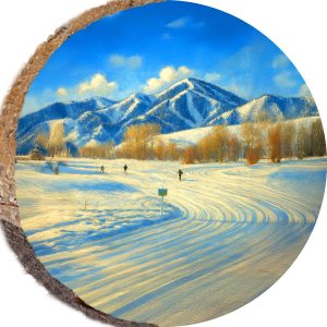 DPS529 – SUN VALLEY IDAHO