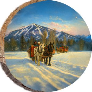 DPS531 – SUN VALLEY IDAHO